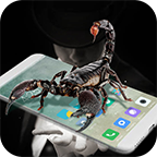 蝎子在手机爬行动态桌面 5.3.0