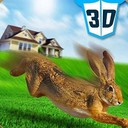 单机野兔生存模拟
