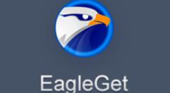 猎鹰eagleget文件怎么缓存 文件缓存流程讲解