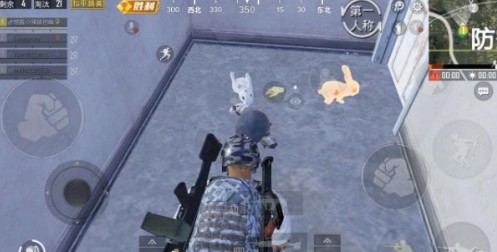 和平精英兔子有什么区别？ 白色兔子与金色兔子区别详解