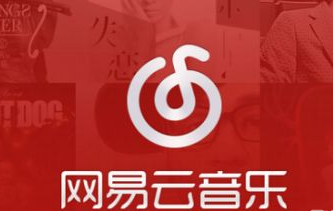 网易云音乐年度总结怎么查看 年度总结查看方法详解                             