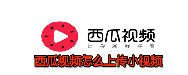 西瓜视频怎么上传小视频方法 上传小视频方法小方法一览                             