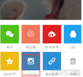 nice好赞APP怎么自定义保存图片？自定义保存图片的方法说明                             