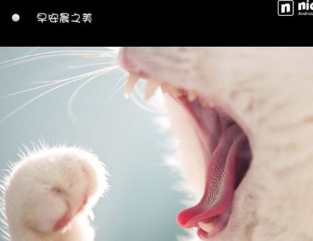 nice好赞APP怎么自定义保存图片？自定义保存图片的方法说明                             