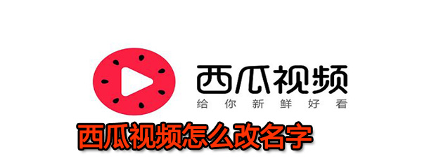 西瓜视频怎么改名字？                             