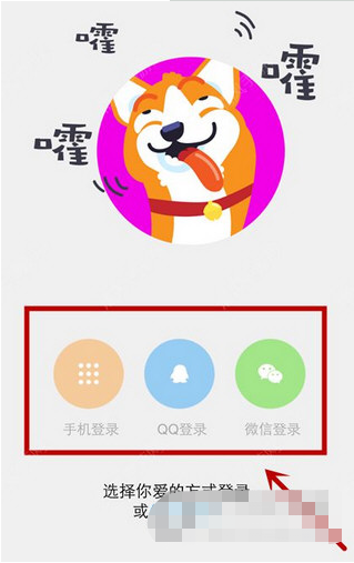 女主与狗APP如何登录与充值？操作方法介绍