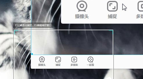YY开播怎么捕捉窗口屏幕？                             