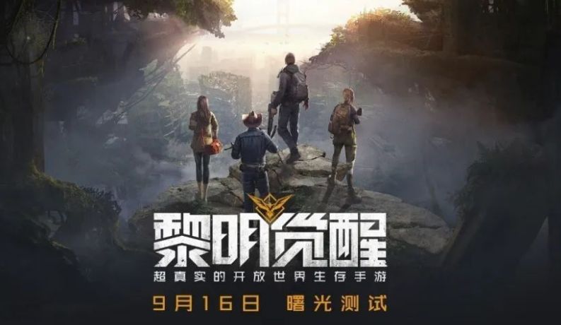 黎明觉醒地莓作用