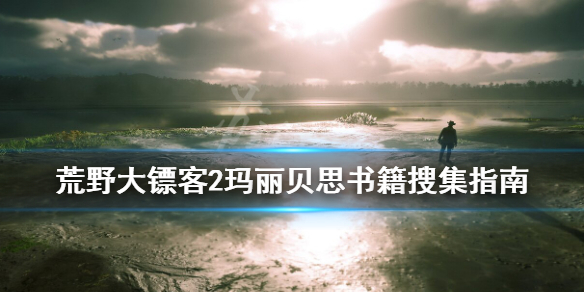荒野大镖客2玛丽贝思的书籍在哪
