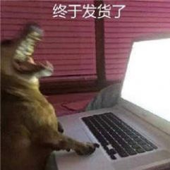 双十一取快递表情包图片无水印分享 v1.0