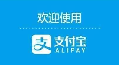 怎么用支付宝查询生育保险缴费记录