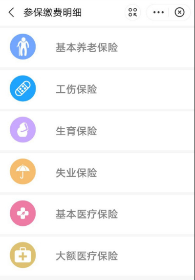 怎么用支付宝查询生育保险缴费记录