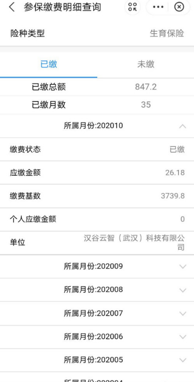 怎么用支付宝查询生育保险缴费记录