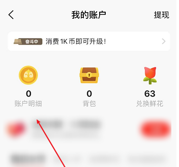 全民K歌的K币消费记录查询方式