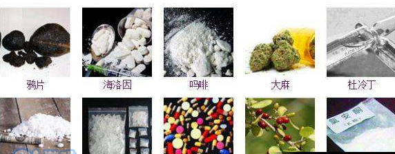 毒品可分为哪三类