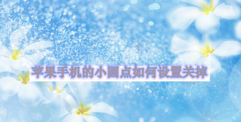 苹果手机屏幕小圆点关闭方法
