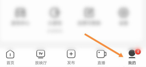 西瓜视频弹幕怎么开启