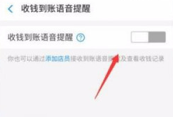 支付宝到账声音设置方式