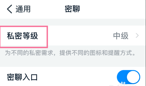 钉钉密聊私密等级调整方式