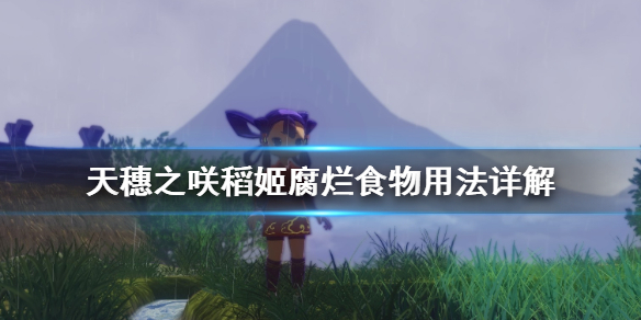 天穗之咲稻姬腐烂食物有什么用 