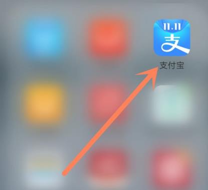 支付宝12月消费券使用方法