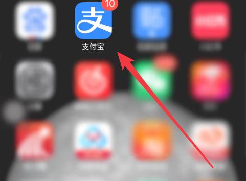 支付宝跨年狂欢月领取的消费券使用流程