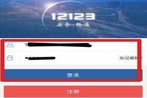 交管12123怎么选车牌号？