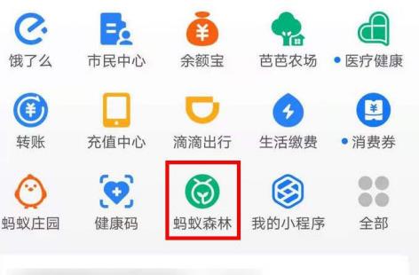 支付宝蚂蚁森林雪花许愿树邀请好友浇水方法