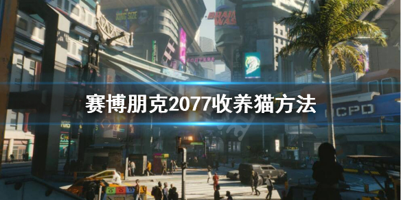 赛博朋克2077猫在哪获得？