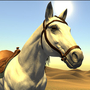 沙漠赛马游戏安卓版 v1.0.0