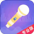 语聊音频变声器app下载 v1.0.0