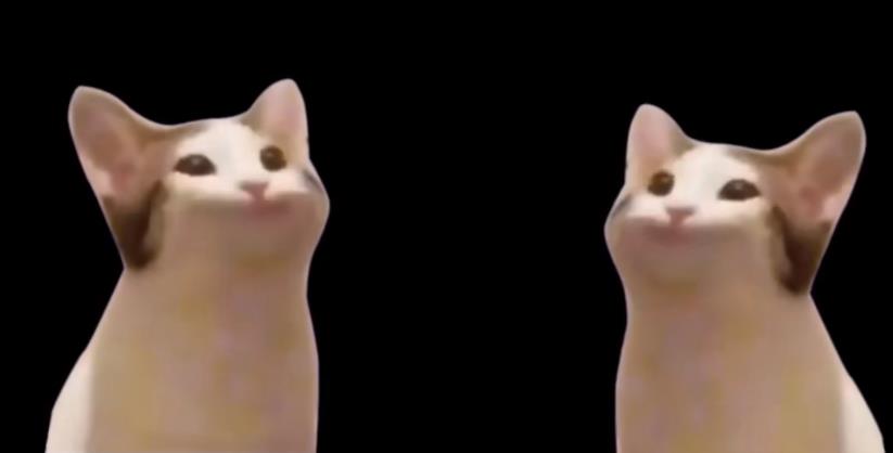 popcat什么梗？popcat动图表情包多图