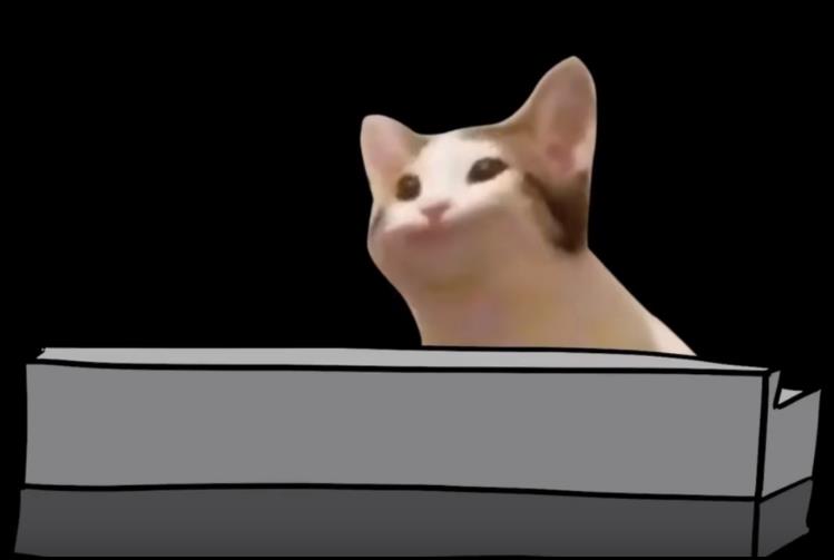 popcat什么梗？popcat动图表情包多图