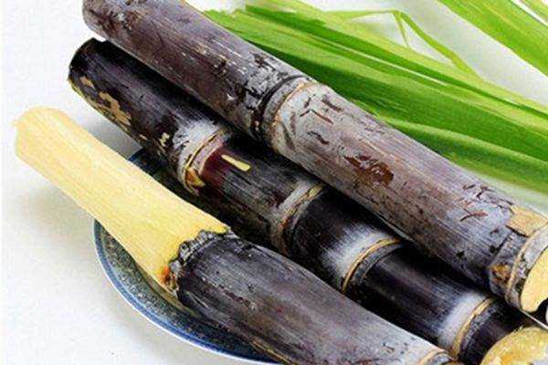 冬至吃啥有讲究吗？