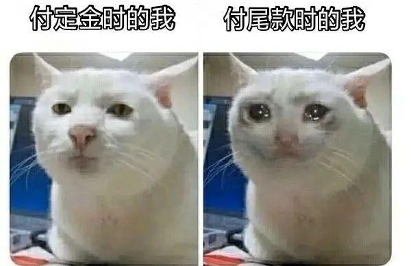 2020十大新人类是什么？2020十大新人类大全多图