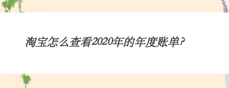 2020淘宝年度账单怎么看？