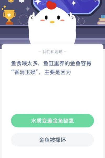 金鱼喂太多会不会撑死？鱼食喂太多金鱼香消玉殒是怎么造成的？