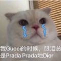 抖音Prada的眼泪PradaPrada地掉表情包图片下载 v1.0