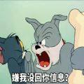 嫌我没回你消息微信表情包图片下载 v1.0
