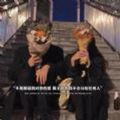 不用质疑我对你的爱属于你的我不会分给任何人背景图片下载 v1.0
