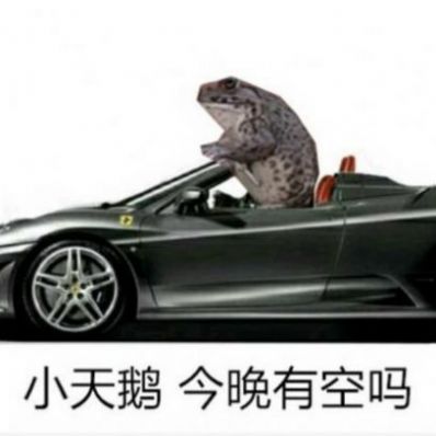 小天鹅我馋你了是什么梗？
