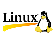 Linux 5.10.10 正式发布，更新了哪些内容？