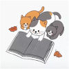 抖音三只猫看书表白图片高清无水印下载 v1.0