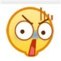 合成emoji表情大西瓜游戏 v1.0