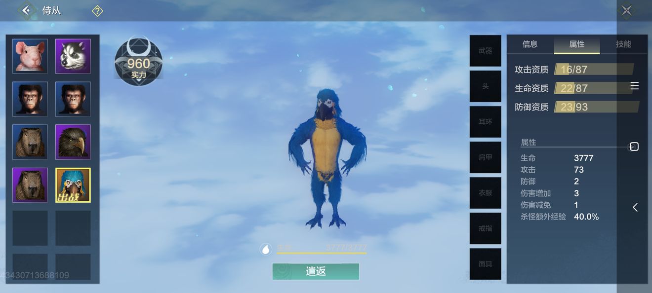妄想山海金刚鹦鹉价格为多少？