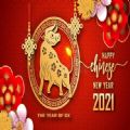 2021新年快乐祝福语大全 简短8个字图片下载 v1.0.0