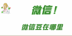 去哪看自己有多少的微信豆？