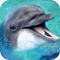 海洋动物模拟器游戏安卓版 v1.2