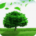牛气森林app最新版 v1.0.0