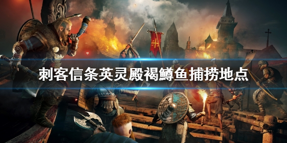 刺客信条英灵殿褐鱒鱼去哪抓 ？
